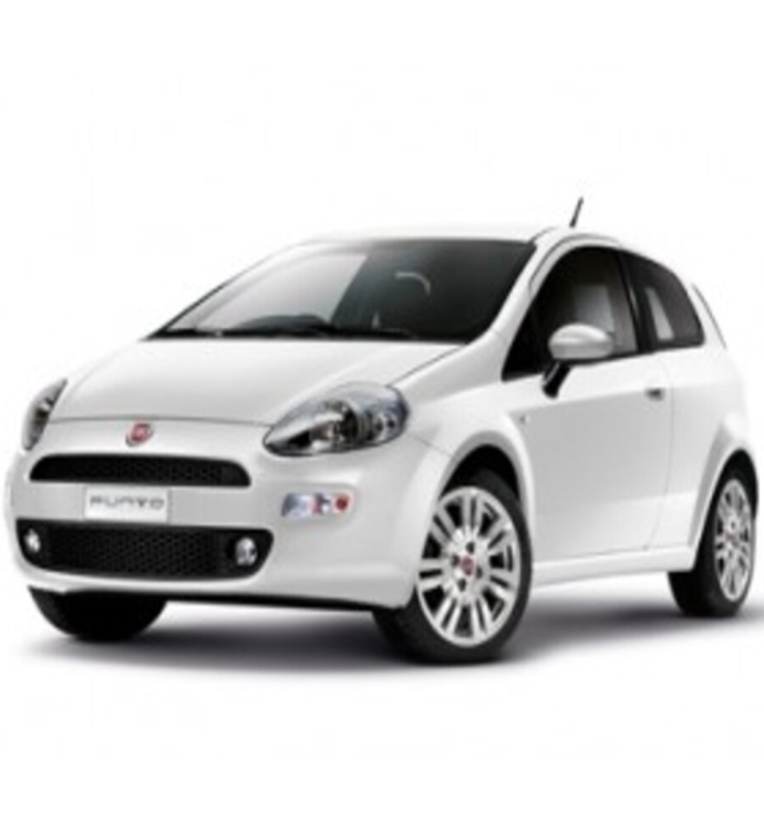 Precision Cruise Control | Fiat Punto