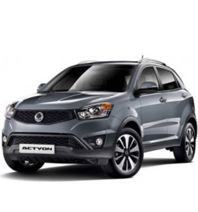 Precision Speed Limiter | Ssangyong Acyton