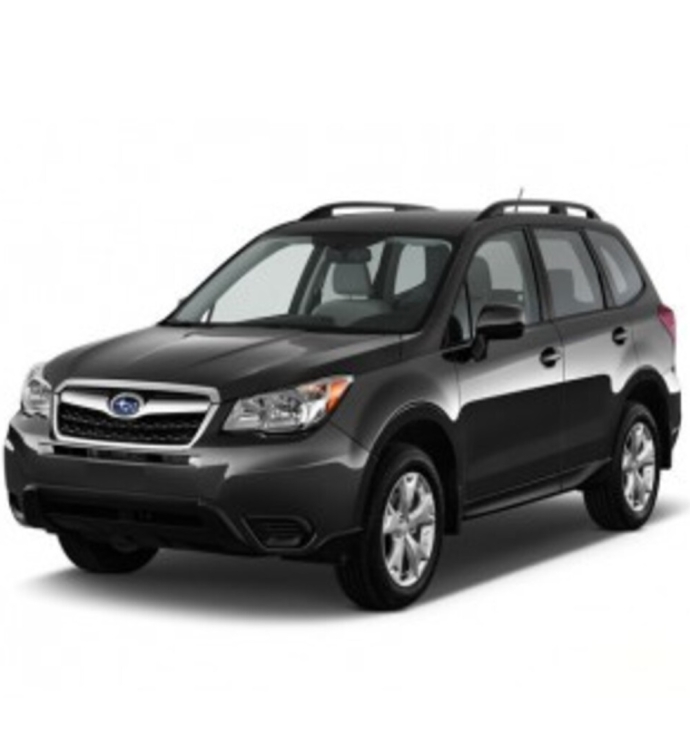 Precision Speed Limiter | Subaru Forester